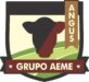 Logo Grupo AEME ANGUS